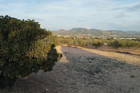 Villa i Sax, Alicante, Sax - € 240.000 | Ref: XAL_991 - foto 49