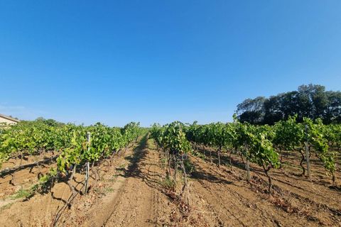 Tomt i Masainas, Sud Sardegna, Masainas - € 149 000 | Ref: GT76 - foto 2