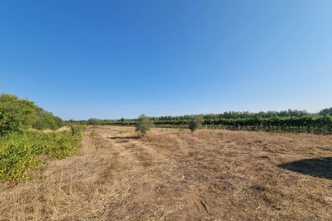 Tomt i Masainas, Sud Sardegna, Masainas - € 149 000 | Ref: GT76 - foto 3