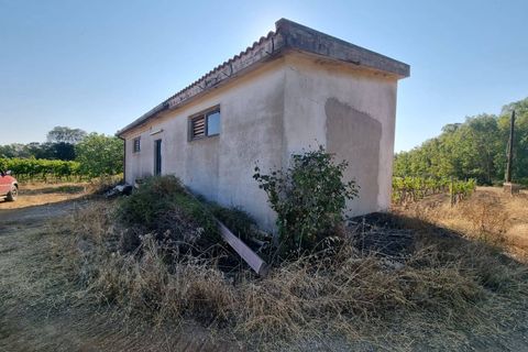 Tomt i Masainas, Sud Sardegna, Masainas - € 149 000 | Ref: GT76 - foto 6