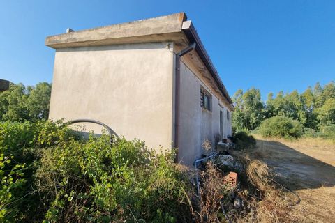 Tomt i Masainas, Sud Sardegna, Masainas - € 149 000 | Ref: GT76 - foto 7