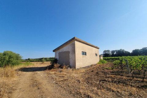Tomt i Masainas, Sud Sardegna, Masainas - € 149 000 | Ref: GT76 - foto 8