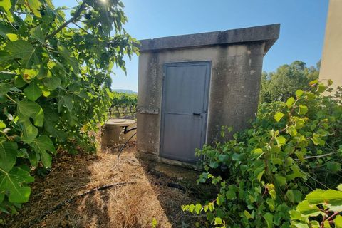 Tomt i Masainas, Sud Sardegna, Masainas - € 149 000 | Ref: GT76 - foto 9