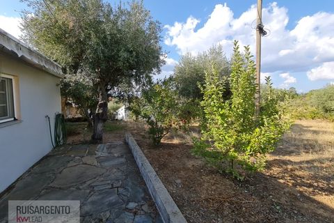 Villa i Castelo Branco, Castelo Branco, Castelo Branco - € 158.000 | Ref: CAS_215RS211025 - foto 21