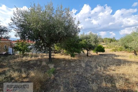 Villa i Castelo Branco, Castelo Branco, Castelo Branco - € 158.000 | Ref: CAS_215RS211025 - foto 22