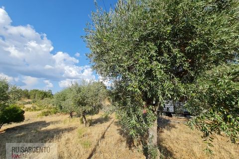 Villa i Castelo Branco, Castelo Branco, Castelo Branco - € 158.000 | Ref: CAS_215RS211025 - foto 24