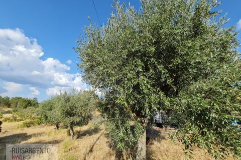 Villa i Castelo Branco, Castelo Branco, Castelo Branco - € 158.000 | Ref: CAS_215RS211025 - foto 26