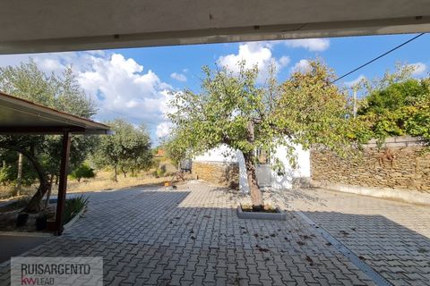 Villa i Castelo Branco, Castelo Branco, Castelo Branco - € 158.000 | Ref: CAS_215RS211025 - foto 30