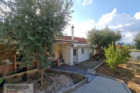 Villa i Castelo Branco, Castelo Branco, Castelo Branco - € 158.000 | Ref: CAS_215RS211025 - foto 33