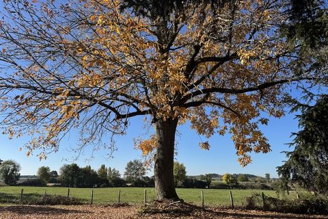 Villa a Verteillac, Dordogne, Verteillac - € 262.500 | Ref: 170 - foto 10