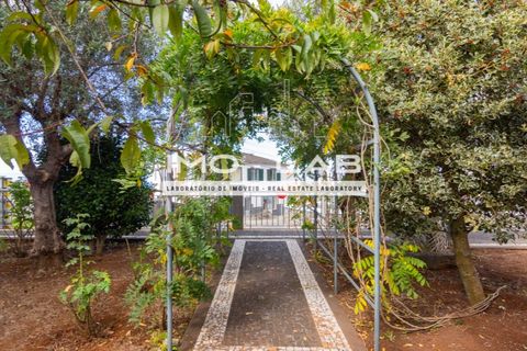 Villa i Calheta, Madeira, Calheta - € 910.000 | Ref: CAS_339 - foto 13