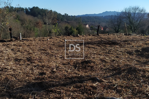 Villa i Carvalhais e Candal, Viseu, Carvalhais e Candal - € 65.000 | Ref: DSPMCANAV57 - foto 5