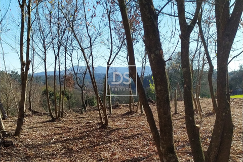 Villa i Carvalhais e Candal, Viseu, Carvalhais e Candal - € 65.000 | Ref: DSPMCANAV57 - foto 7