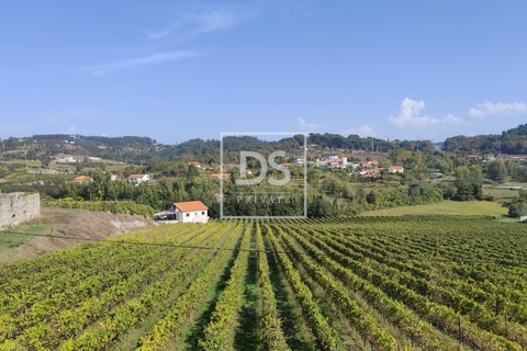 Helårsgrund i Amarante, Porto, Amarante - € 43.000 | Ref: DSPMCANAVSN24 - foto 1