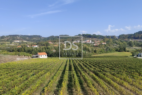 Helårsgrund i Amarante, Porto, Amarante - € 43.000 | Ref: DSPMCANAVSN24 - foto 4