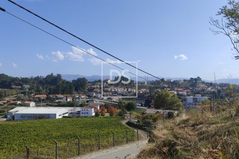 Helårsgrund i Amarante, Porto, Amarante - € 43.000 | Ref: DSPMCANAVSN24 - foto 6