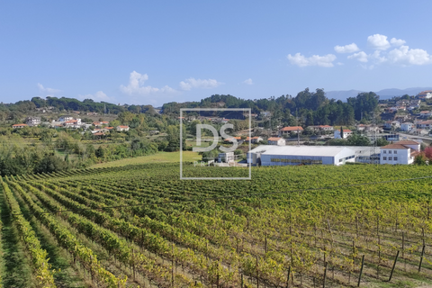 Helårsgrund i Amarante, Porto, Amarante - € 43.000 | Ref: DSPMCANAVSN24 - foto 7