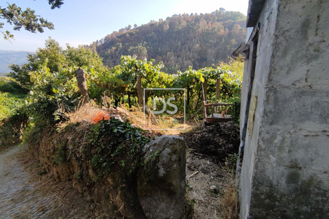 Villa i Viariz, Porto, Viariz - € 45.000 | Ref: DSPMCANAVSN25 - foto 8