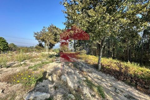 Helårsgrund i Vila Verde, Braga, Vila Verde - € 120.000 | Ref: 08717 - foto 6