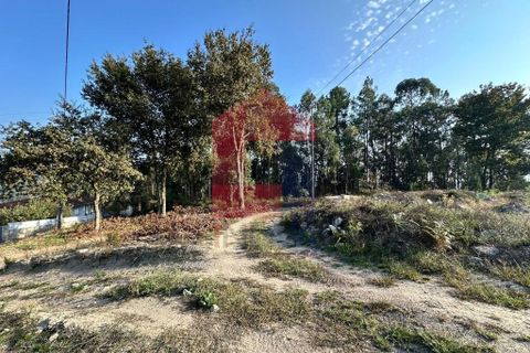 Helårsgrund i Vila Verde, Braga, Vila Verde - € 120.000 | Ref: 08717 - foto 10