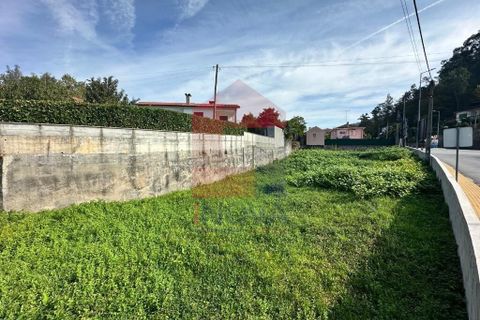 Tomt i Terras de Bouro, Braga, Terras de Bouro - € 76 500 | Ref: 08718 - foto 2