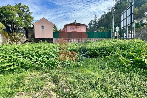 Tomt i Terras de Bouro, Braga, Terras de Bouro - € 76 500 | Ref: 08718 - foto 5