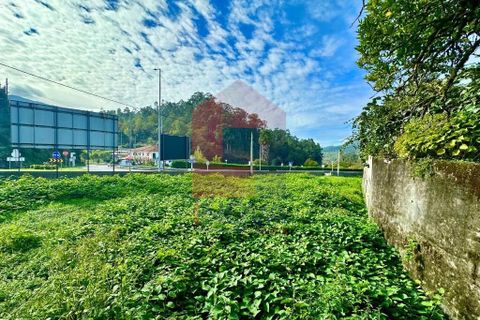 Tomt i Terras de Bouro, Braga, Terras de Bouro - € 76 500 | Ref: 08718 - foto 11