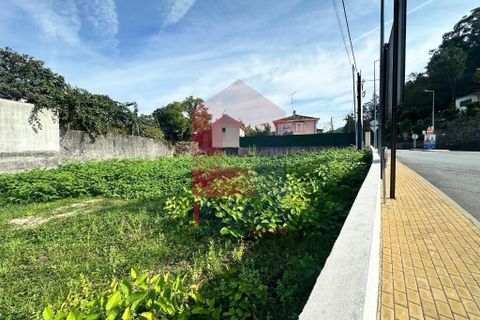 Tomt i Terras de Bouro, Braga, Terras de Bouro - € 76 500 | Ref: 08718 - foto 15