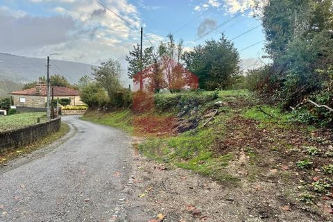 Helårsgrund i Terras de Bouro, Braga, Terras de Bouro - € 40.000 | Ref: 08720 - foto 12