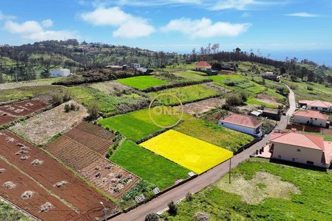 Helårsgrund i Calheta, Madeira, Calheta - € 110.000 | Ref: ONE361867-28 - foto 12