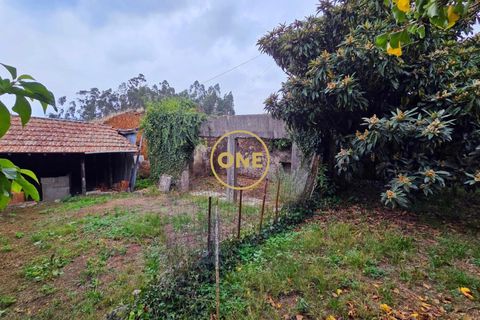Terreno en Trofa, Porto, Trofa - € 70.000 | Ref: ONE0021067-79 - photo 2