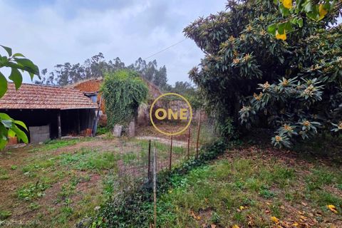 Terreno en Trofa, Porto, Trofa - € 70.000 | Ref: ONE0021067-79 - photo 4