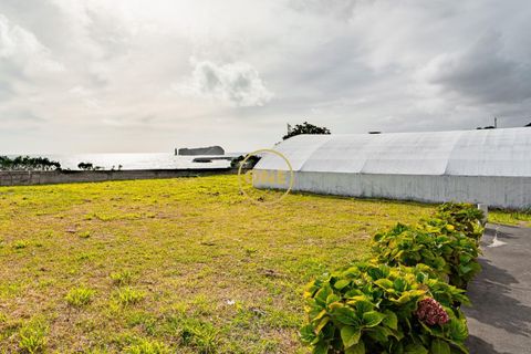 Byhus i Vila Franca do Campo, Sao Miguel, Vila Franca do Campo - € 1.350.000 | Ref: ONE401678-47 - foto 14