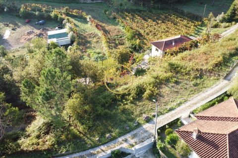 Helårsgrund i Terras de Bouro, Braga, Terras de Bouro - € 32.500 | Ref: ONE141494-57 - foto 1