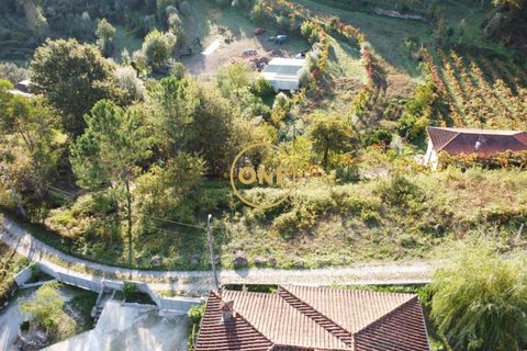 Helårsgrund i Terras de Bouro, Braga, Terras de Bouro - € 32.500 | Ref: ONE141494-57 - foto 2