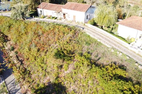 Helårsgrund i Terras de Bouro, Braga, Terras de Bouro - € 32.500 | Ref: ONE141494-57 - foto 7
