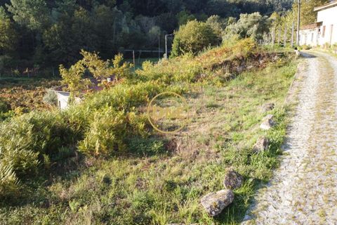Helårsgrund i Terras de Bouro, Braga, Terras de Bouro - € 32.500 | Ref: ONE141494-57 - foto 9