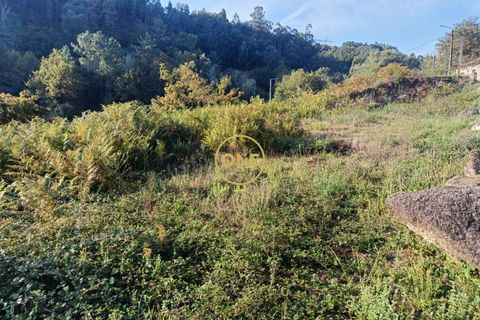 Helårsgrund i Terras de Bouro, Braga, Terras de Bouro - € 32.500 | Ref: ONE141494-57 - foto 13