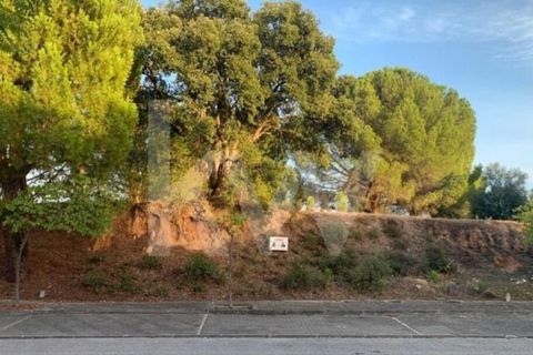 Helårsgrund i Entroncamento, Santarem, Entroncamento - € 49.500 | Ref: 2001001-850 - foto 2