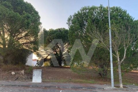 Helårsgrund i Entroncamento, Santarem, Entroncamento - € 49.500 | Ref: 2001001-850 - foto 3
