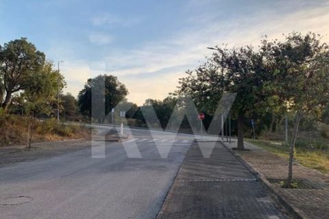 Helårsgrund i Entroncamento, Santarem, Entroncamento - € 49.500 | Ref: 2001001-850 - foto 13