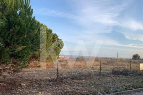 Helårsgrund i Entroncamento, Santarem, Entroncamento - € 49.500 | Ref: 2001001-850 - foto 14