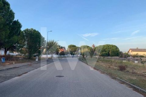 Helårsgrund i Entroncamento, Santarem, Entroncamento - € 49.500 | Ref: 2001001-850 - foto 15