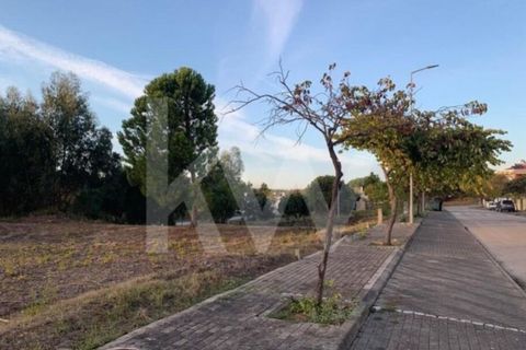 Helårsgrund i Entroncamento, Santarem, Entroncamento - € 49.500 | Ref: 2001001-850 - foto 16