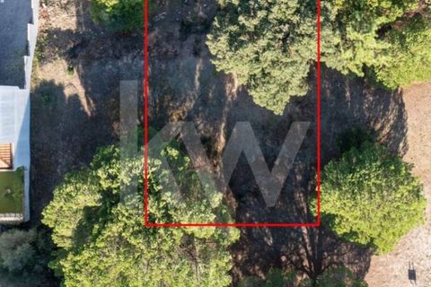 Helårsgrund i Entroncamento, Santarem, Entroncamento - € 49.500 | Ref: 2001001-850 - foto 21