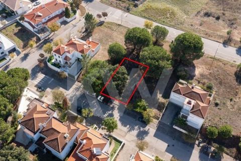 Helårsgrund i Entroncamento, Santarem, Entroncamento - € 49.500 | Ref: 2001001-850 - foto 22