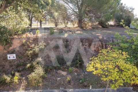 Helårsgrund i Entroncamento, Santarem, Entroncamento - € 49.500 | Ref: 2001001-850 - foto 25