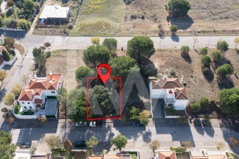Helårsgrund i Entroncamento, Santarem, Entroncamento - € 49.500 | Ref: 2001001-850 - foto 27