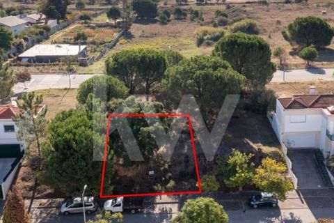 Helårsgrund i Entroncamento, Santarem, Entroncamento - € 49.500 | Ref: 2001001-850 - foto 29