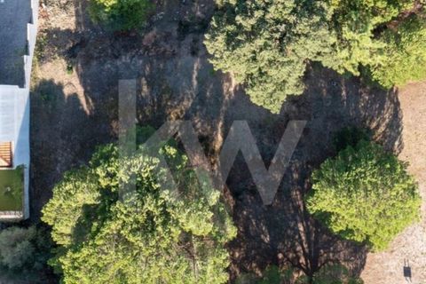 Helårsgrund i Entroncamento, Santarem, Entroncamento - € 49.500 | Ref: 2001001-850 - foto 30